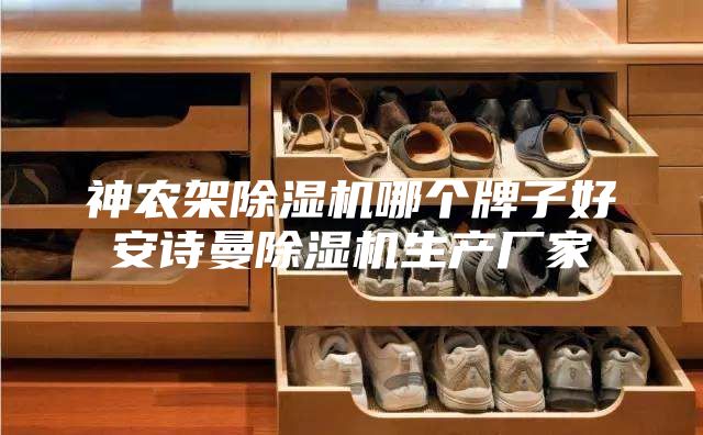 神农架除湿机哪个牌子好安诗曼除湿机生产厂家