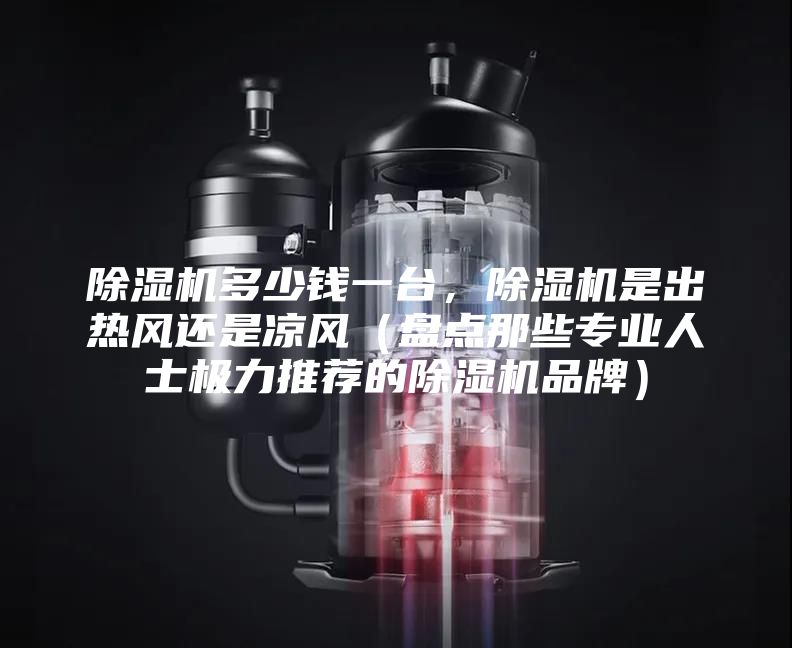 除湿机多少钱一台，除湿机是出热风还是凉风（盘点那些专业人士极力推荐的除湿机品牌）
