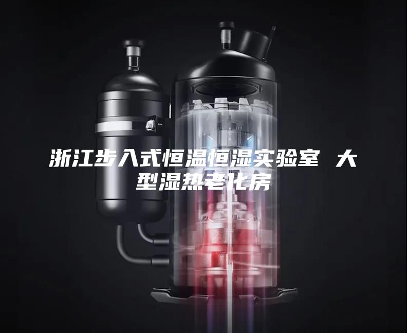 浙江步入式恒温恒湿实验室 大型湿热老化房