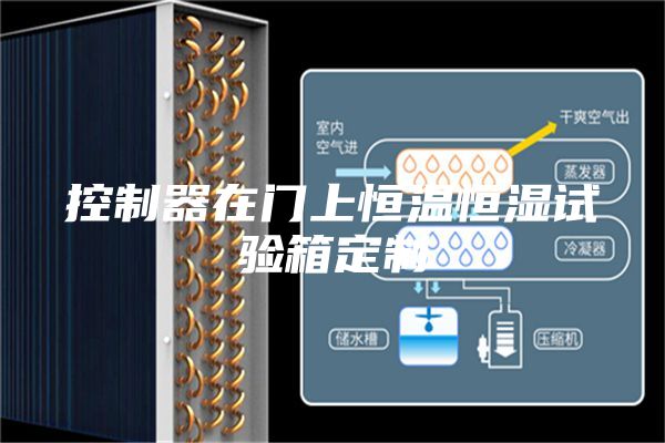 控制器在门上恒温恒湿试验箱定制
