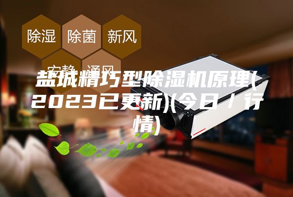 盐城精巧型除湿机原理(2023已更新)(今日／行情)