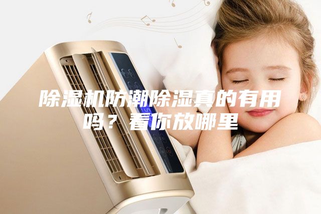 除湿机防潮除湿真的有用吗？看你放哪里