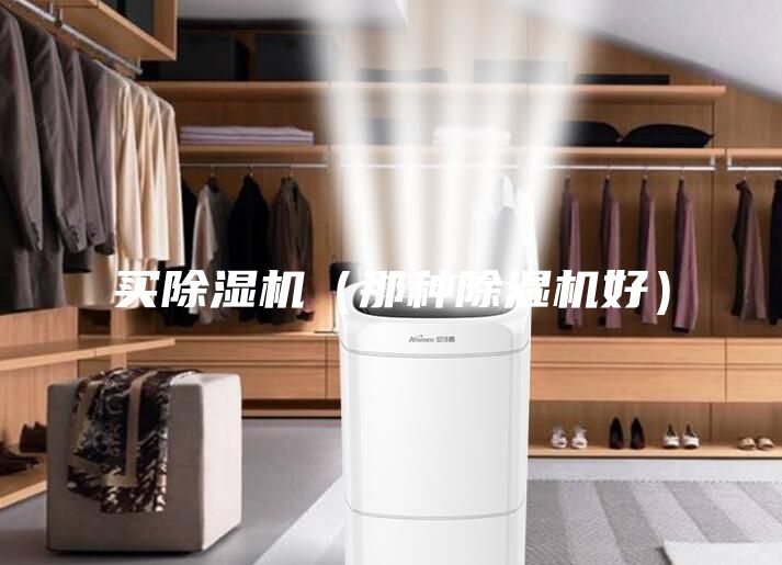 买除湿机（那种除湿机好）