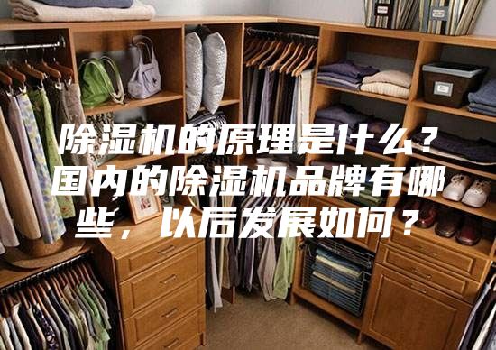 除湿机的原理是什么？国内的除湿机品牌有哪些，以后发展如何？