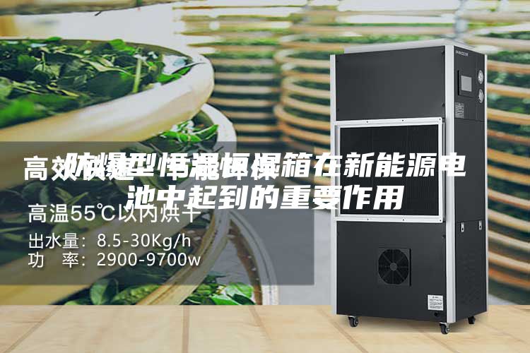 防爆型恒温恒湿箱在新能源电池中起到的重要作用