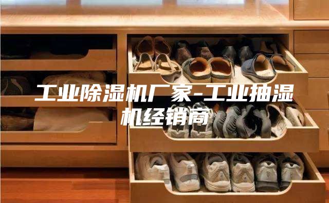 工业除湿机厂家-工业抽湿机经销商