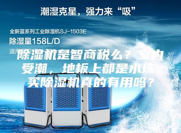 除湿机是智商税么？室内受潮，地板上都是水珠，买除湿机真的有用吗？