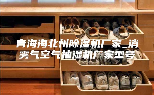 青海海北州除湿机厂家_消雾气空气抽湿机厂家型号
