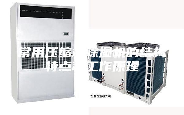 常用压缩机除湿机的结构特点和工作原理