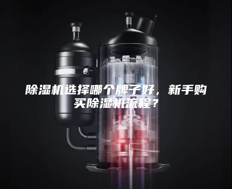 除湿机选择哪个牌子好，新手购买除湿机流程？