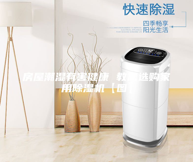 房屋潮湿有害健康 教您选购家用除湿机【图】