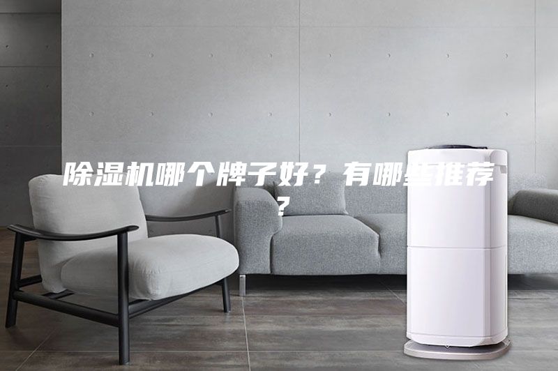 除湿机哪个牌子好？有哪些推荐？