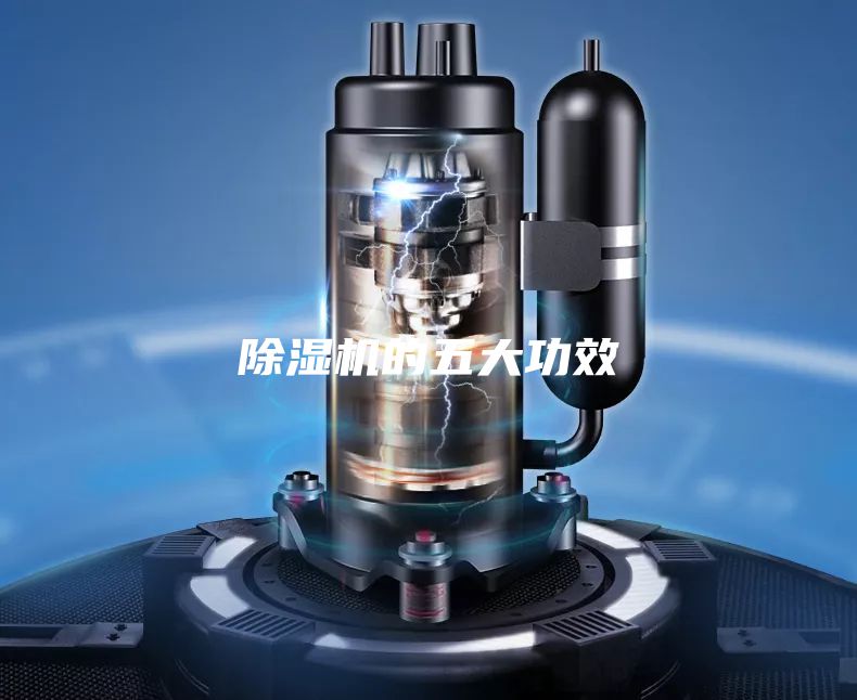 除湿机的五大功效