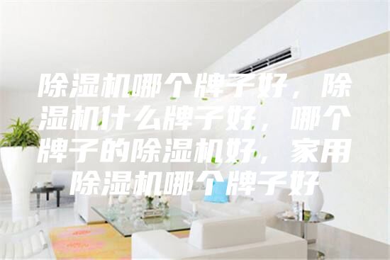 除湿机哪个牌子好，除湿机什么牌子好，哪个牌子的除湿机好，家用除湿机哪个牌子好
