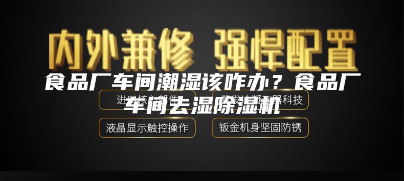 食品厂车间潮湿该咋办？食品厂车间去湿除湿机