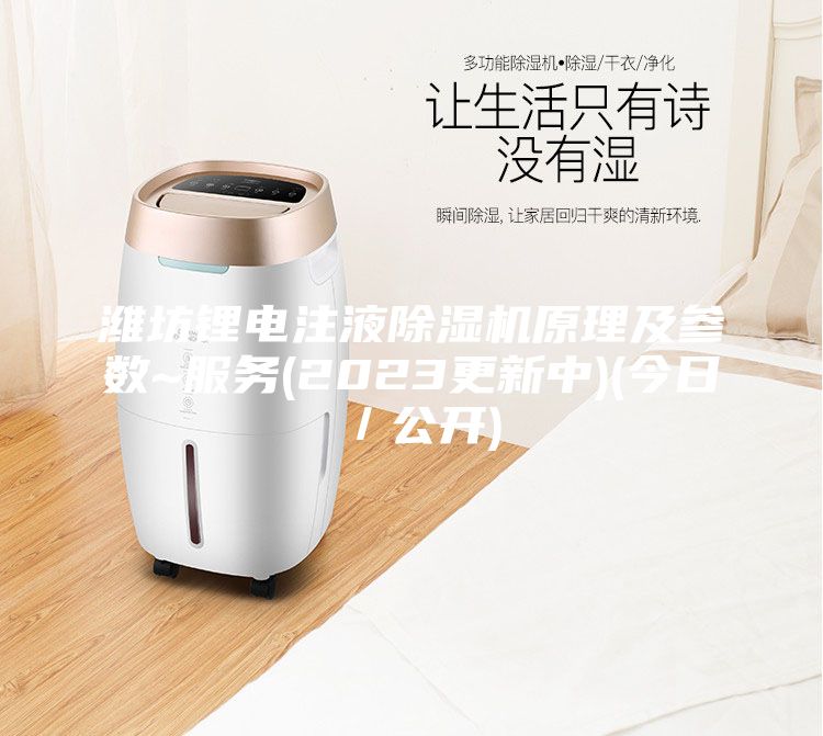 潍坊锂电注液除湿机原理及参数~服务(2023更新中)(今日／公开)
