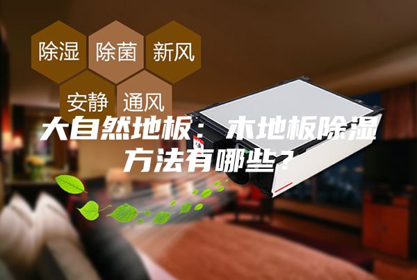 大自然地板:木地板除湿方法有哪些?