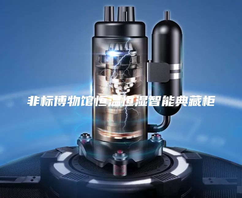 非标博物馆恒温恒湿智能典藏柜
