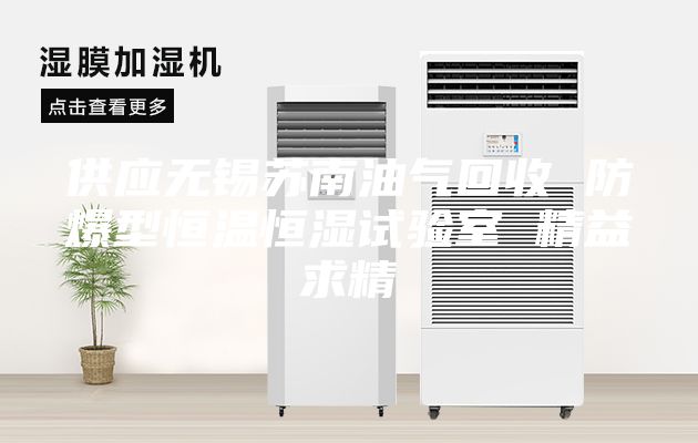 供应无锡苏南油气回收 防爆型恒温恒湿试验室 精益求精