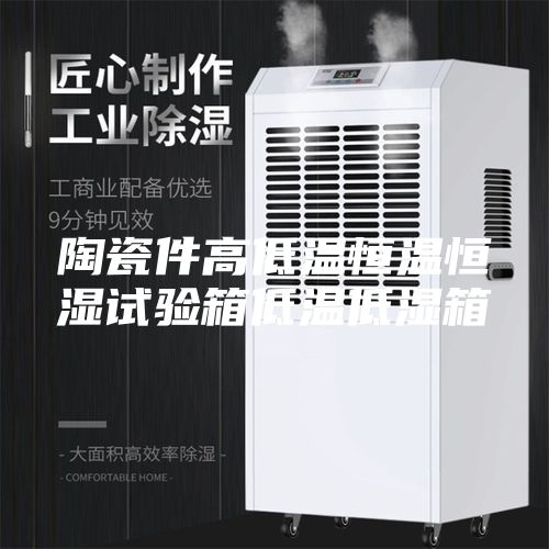 陶瓷件高低温恒温恒湿试验箱低温低湿箱
