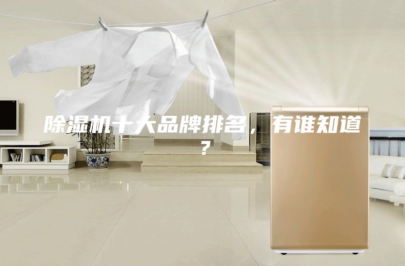 除湿机十大品牌排名，有谁知道？