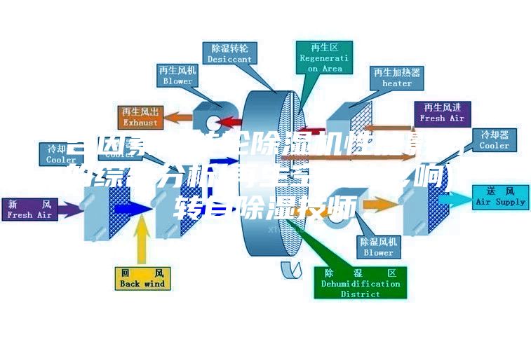 各因素对转轮除湿机性能影响的综合分析(再生空气的影响)-转自除湿技师