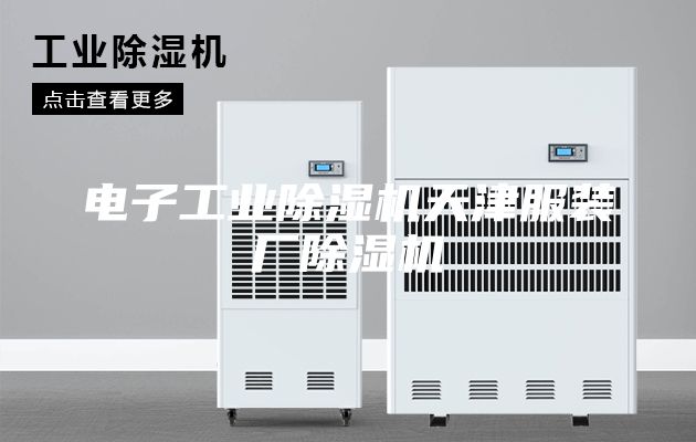 电子工业除湿机天津服装厂除湿机