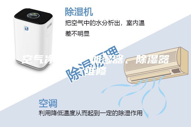 空气净化器、加湿器、除湿器维修