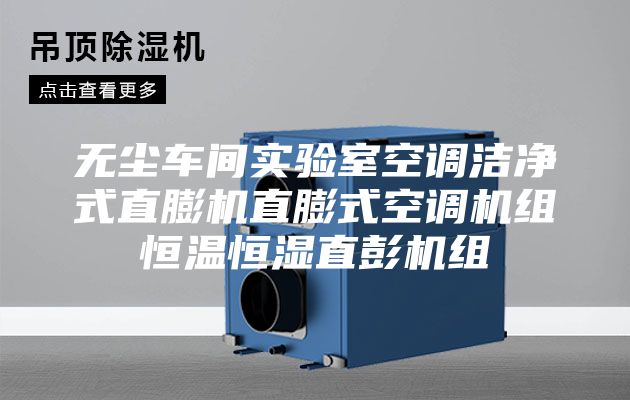 无尘车间实验室空调洁净式直膨机直膨式空调机组恒温恒湿直彭机组