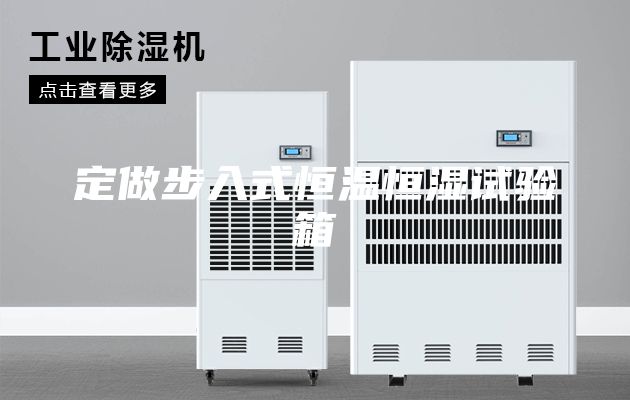 定做步入式恒温恒湿试验箱