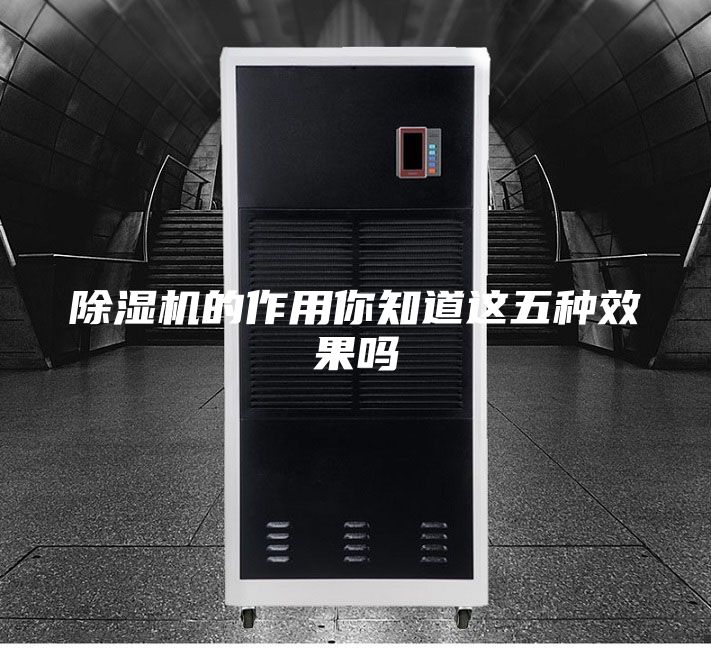 除湿机的作用你知道这五种效果吗
