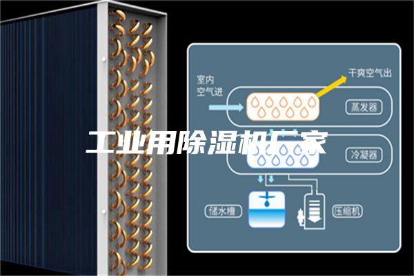 工业用除湿机厂家