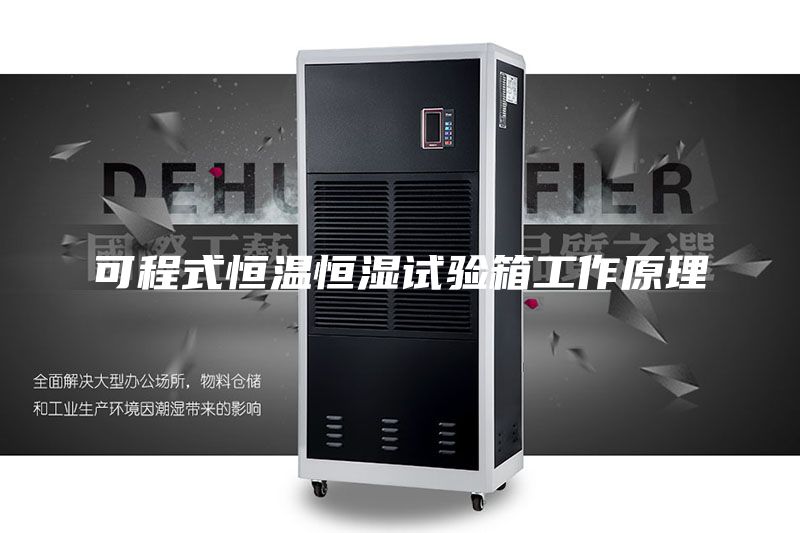 可程式恒温恒湿试验箱工作原理