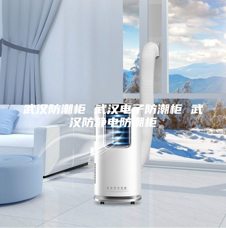 武汉防潮柜 武汉电子防潮柜 武汉防静电防潮柜