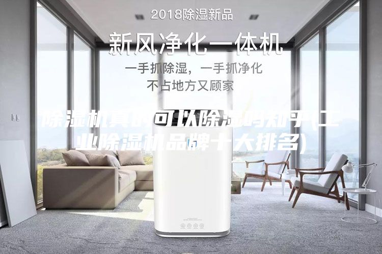 除湿机真的可以除湿吗知乎(工业除湿机品牌十大排名)