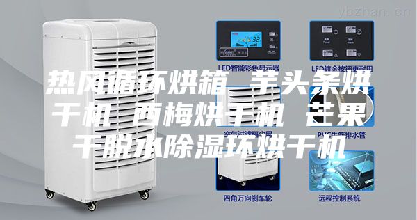 热风循环烘箱 芋头条烘干机 西梅烘干机 芒果干脱水除湿环烘干机
