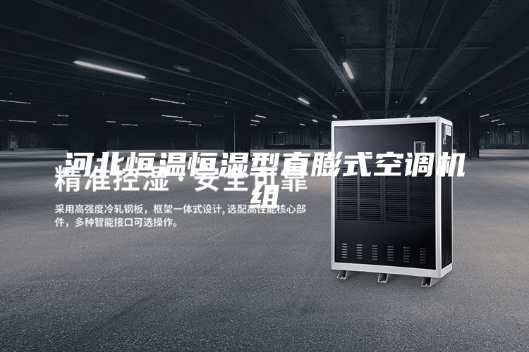 河北恒温恒湿型直膨式空调机组