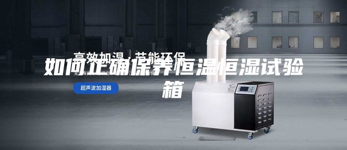 如何正确保养恒温恒湿试验箱