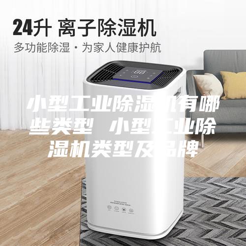 小型工业除湿机有哪些类型 小型工业除湿机类型及品牌