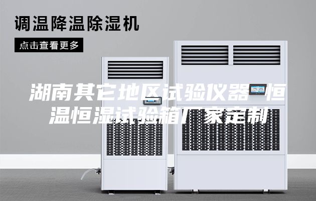 湖南其它地区试验仪器 恒温恒湿试验箱厂家定制