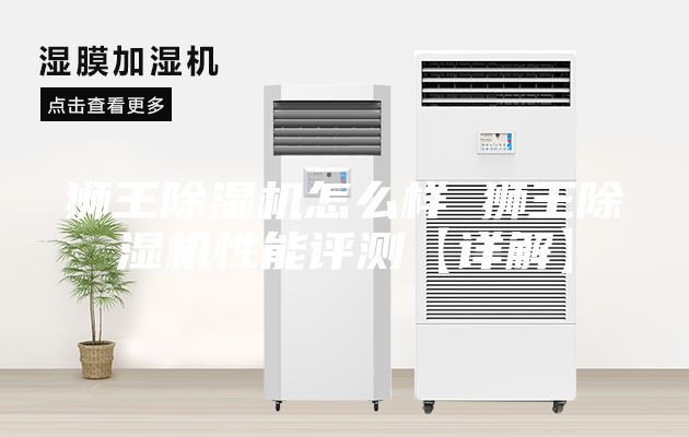 狮王除湿机怎么样 狮王除湿机性能评测【详解】