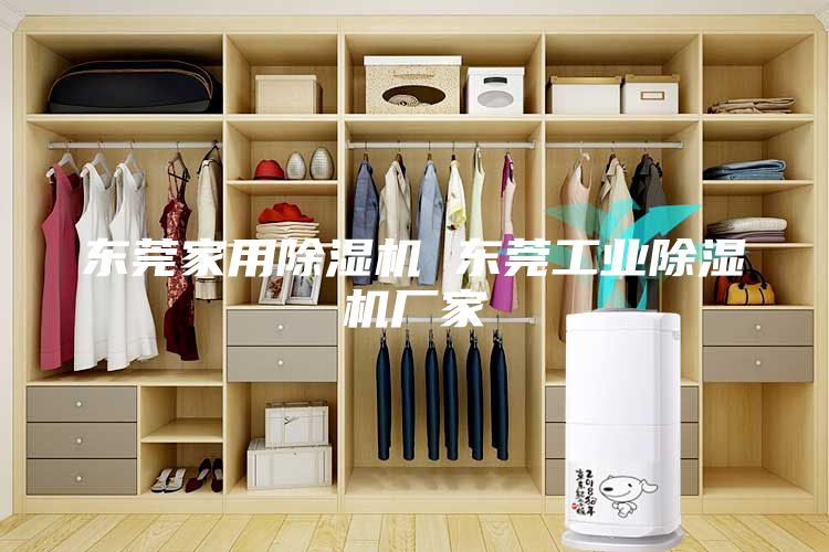 东莞家用除湿机 东莞工业除湿机厂家