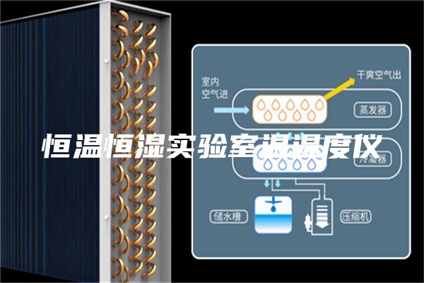 恒温恒湿实验室温湿度仪