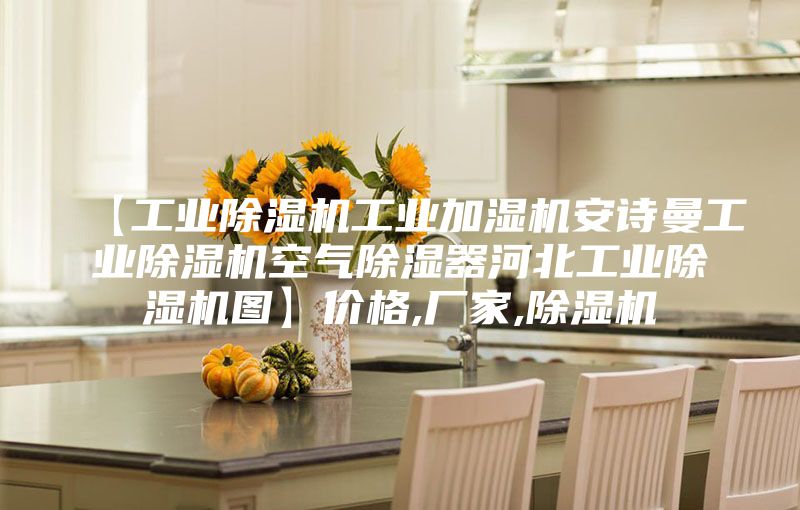 【工业除湿机工业加湿机安诗曼工业除湿机空气除湿器河北工业除湿机图】价格,厂家,除湿机