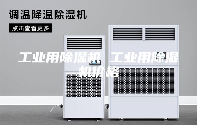 工业用除湿机 工业用除湿机价格