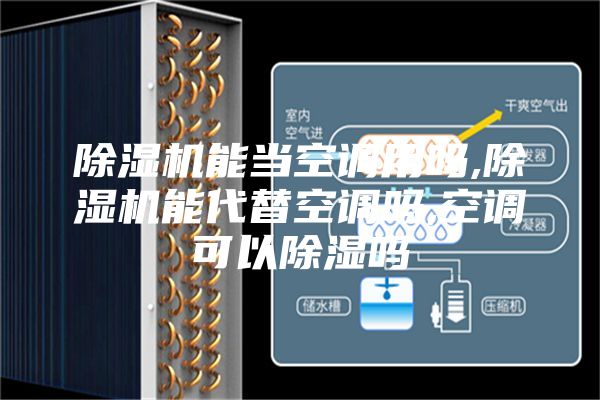 除湿机能当空调用吗,除湿机能代替空调吗,空调可以除湿吗