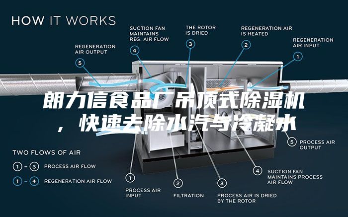 朗力信食品厂吊顶式除湿机,快速去除水汽与冷凝水