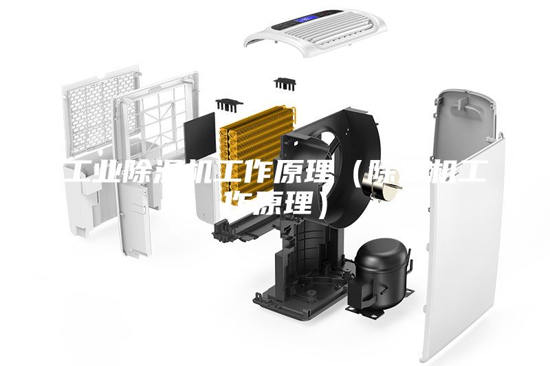 工业除湿机工作原理（除湿机工作原理）