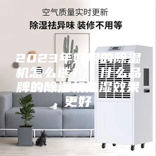 2023年好用的除湿机怎么选？｜什么品牌的除湿机抽湿效果更好