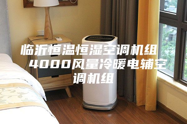 临沂恒温恒湿空调机组  4000风量冷暖电辅空调机组